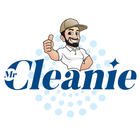 Mr Cleanie US